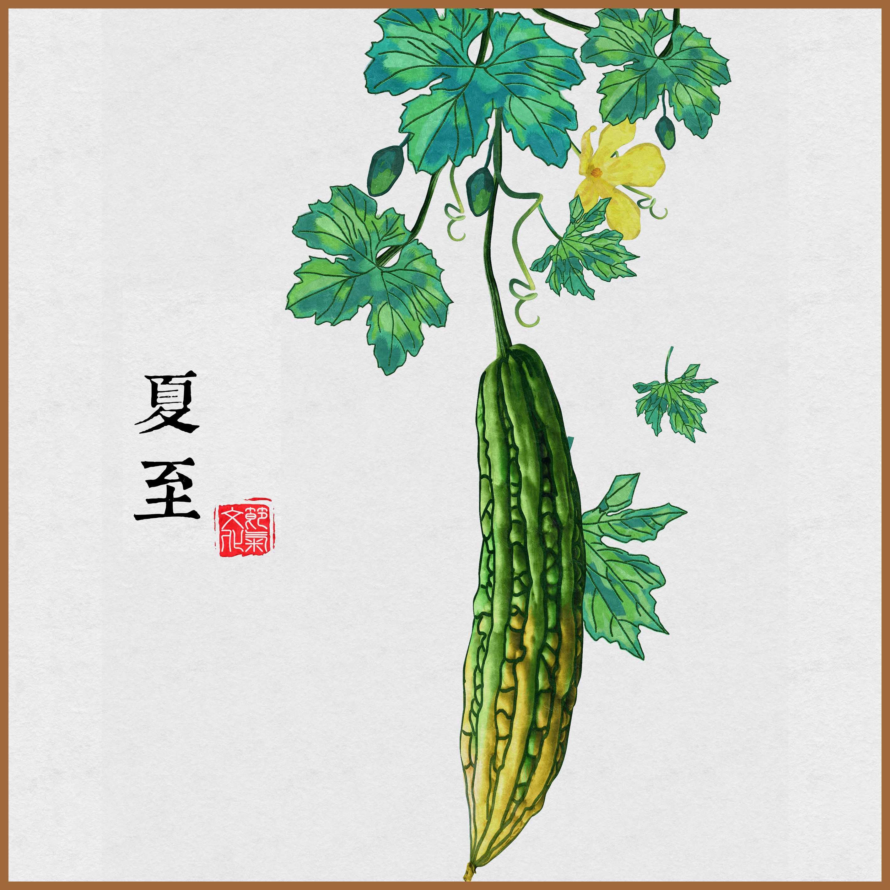 夏至