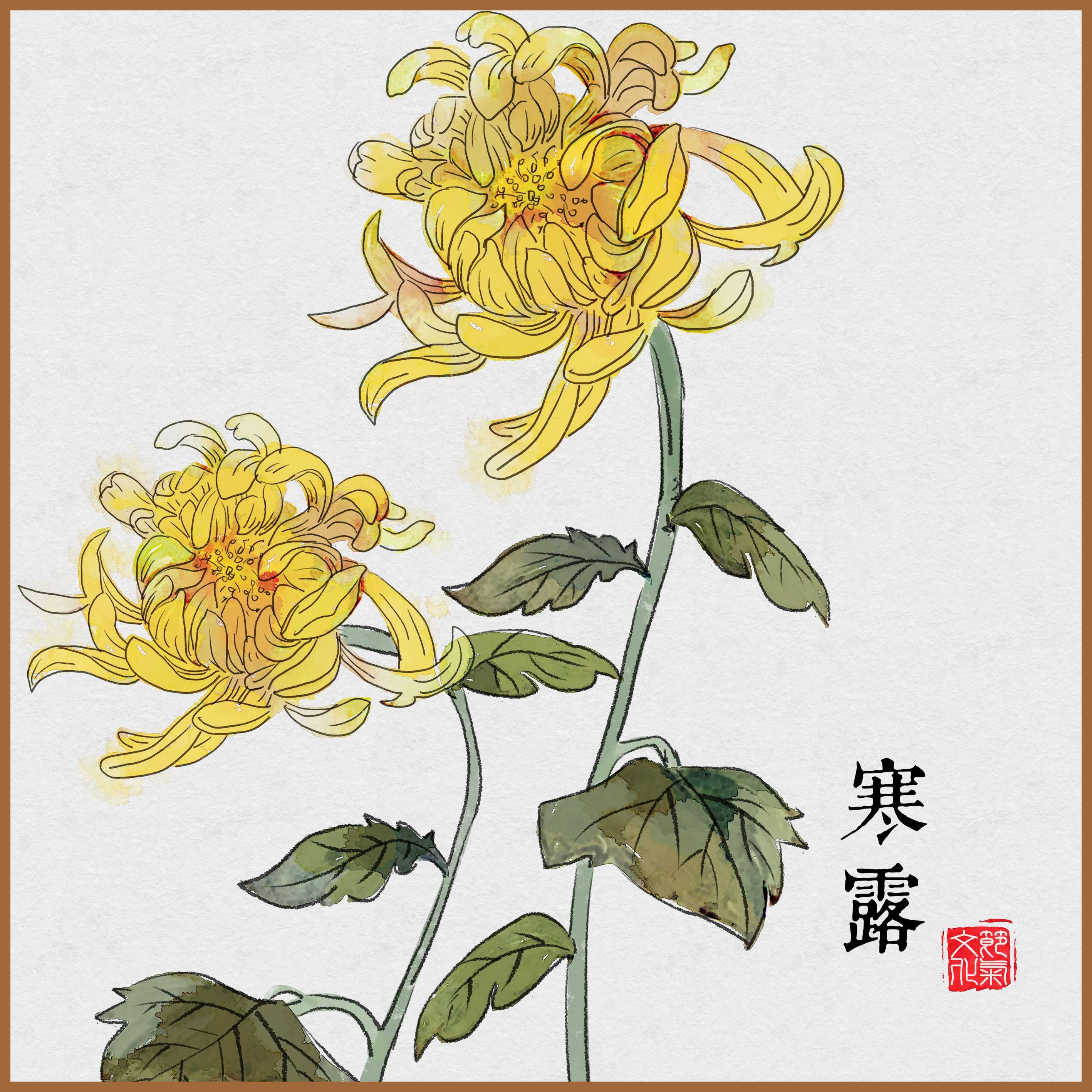 寒露