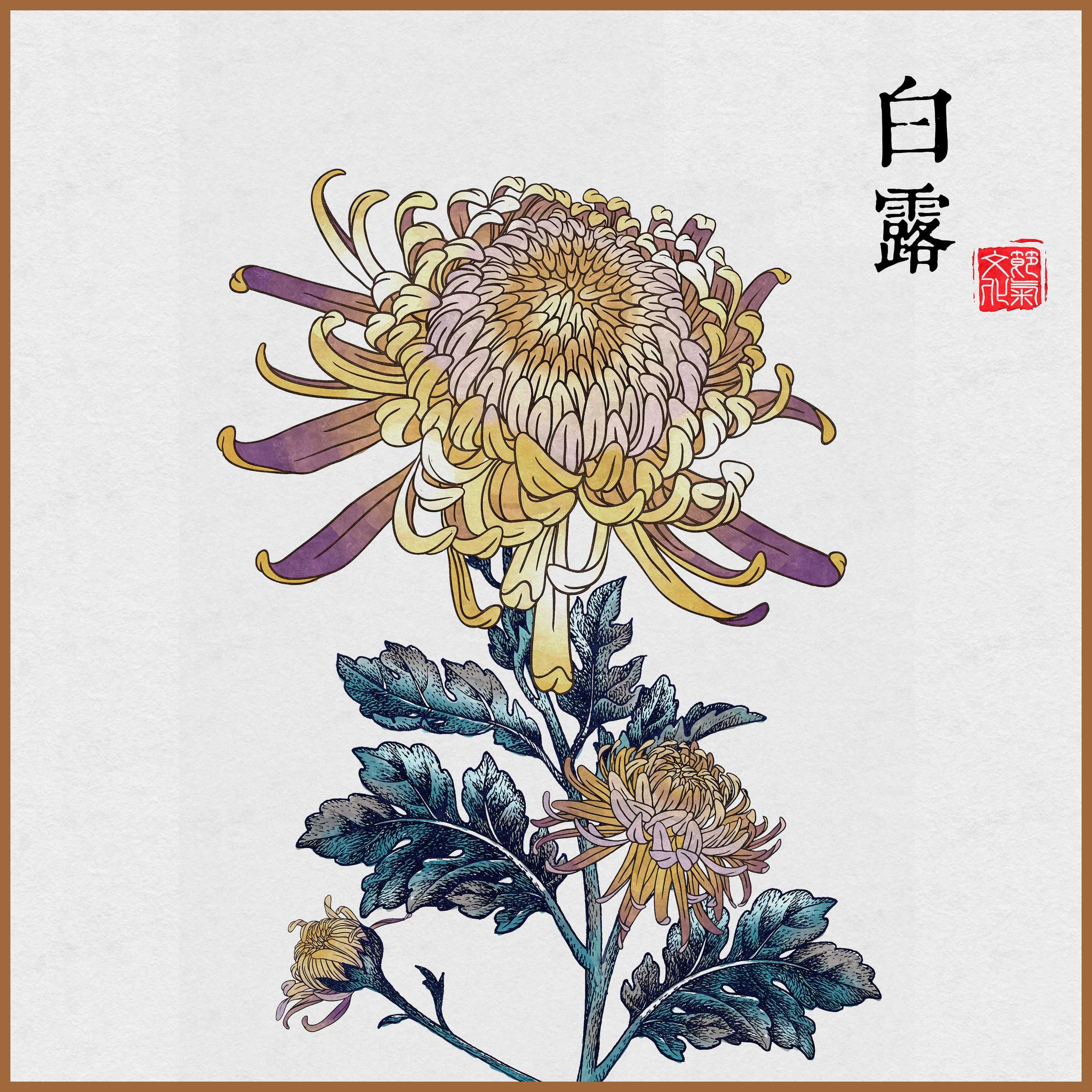 白露