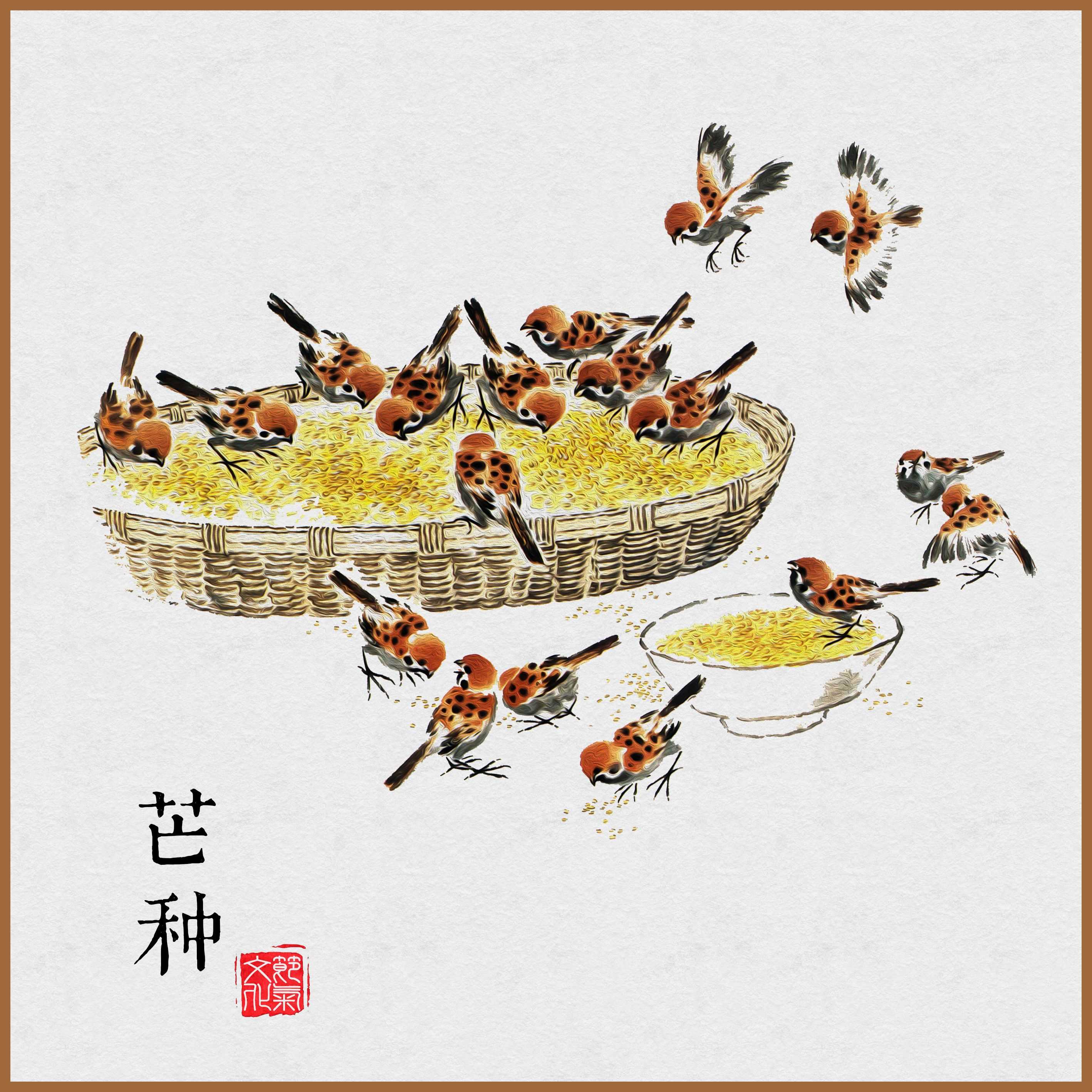 芒种